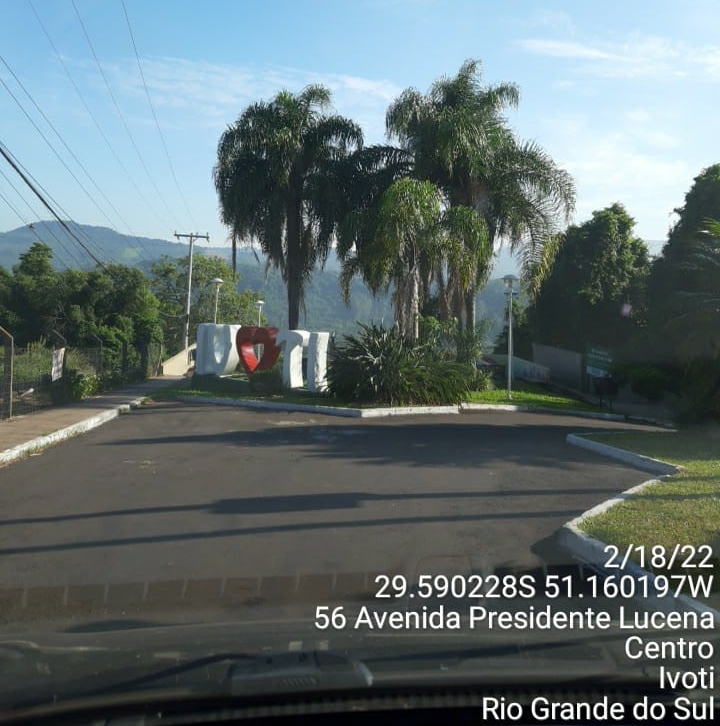 Palmeira do belvedere de Ivoti