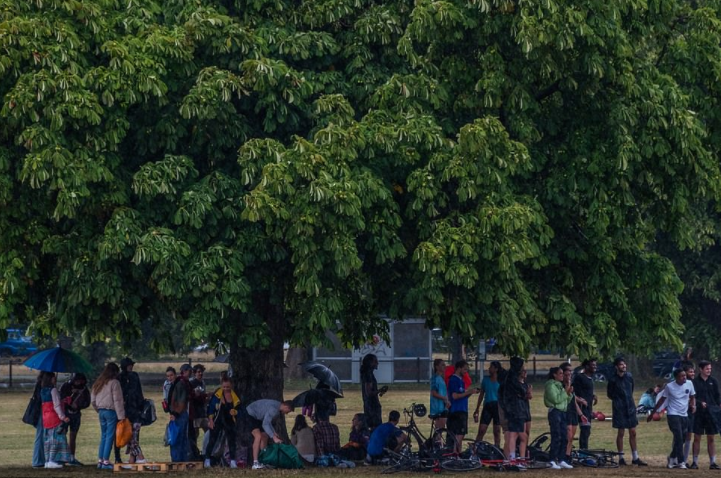 Pessoas se protegendo da chuva embaixo de uma árvore