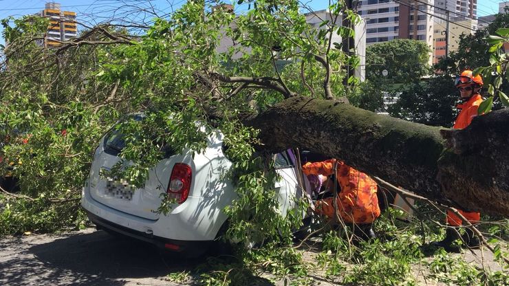 Galho enorme de árvore caído sobre automóvel