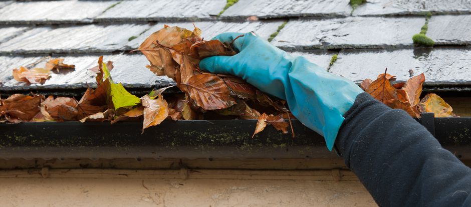 Mão com luva tirando folhas de uma calha